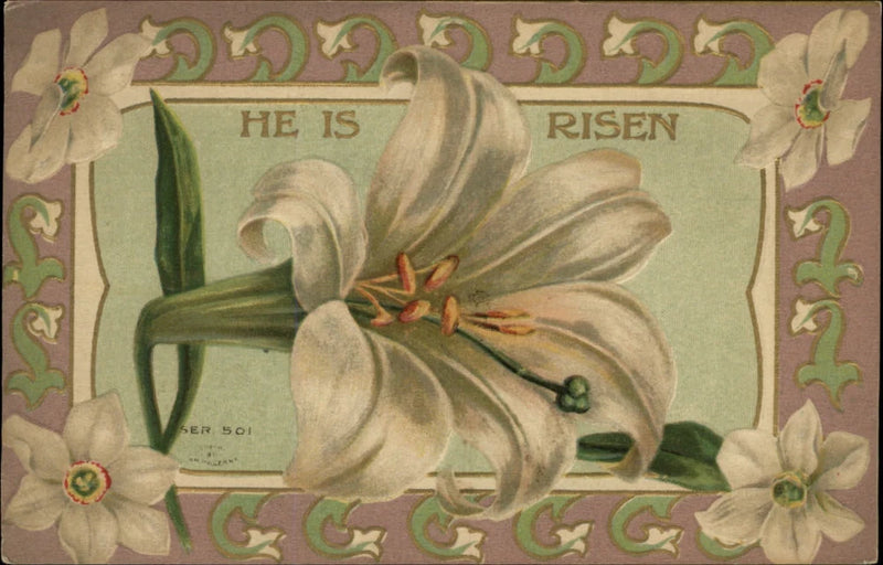 EASTER White lilies narcissus flowers ~ c1910 vintage postcard Lily
