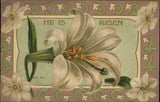 EASTER White lilies narcissus flowers ~ c1910 vintage postcard Lily