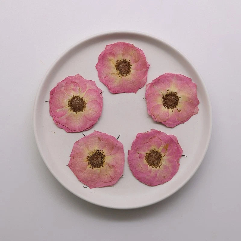 Dried pressed rose flowerheads set with natural pink petals and dark centers