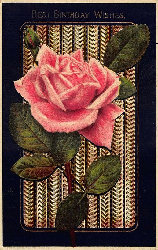 "Best Birthday Wishes" Carnation Flower Embossed Postcard Carnation