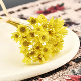 Dried Flowers Resin Fillers-DIY Aromatherapy Brazil Little Star Flower Art Craft Dried Flower