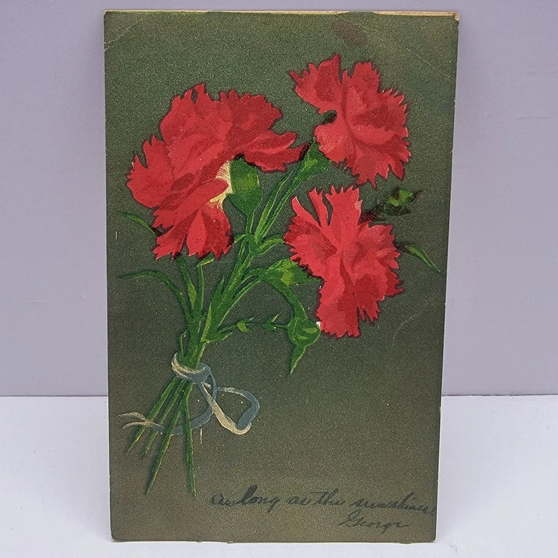 Red Carnation Floral Bouquet Green Glitter Background 1907 Postcard Carnation