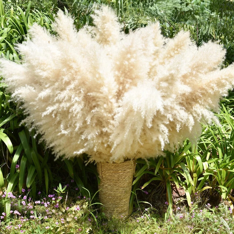 40" 33PCS Dried Pampas Grass Decor Tall,Large Natural Beige pompas Grass Tall Pa Pampas Grass