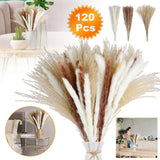 120 PCS Pampas Grass Natural Dried Reed Flower Bunch Home Wedding Decor Bouquets Pampas Grass