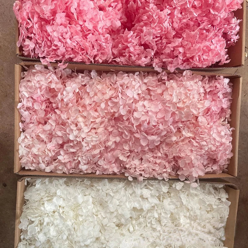 50g Bulk Dried Artificial Flowers for Gift Photograph Props Party Wedding Decor Dried Flower