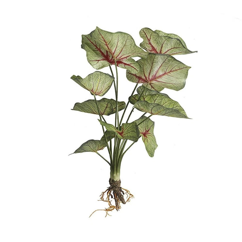 Landscape Architecture Decoration Green Plants Fake Colored Maranta arundinac... Green Plant