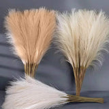 Artificial Pampas Grass Boho Bouquet (5/10 PCS) Ð Faux Reed Flowers for Wedding Pampas Grass