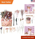 Real Dried Flowers, Natural Dry Flowers Mixed Natural Pressed Flowers Flores ... Dried Flower