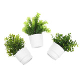 3 Pcs Simulation Small Potted Plants Greenery for Weddings Mini Fake Green Plant