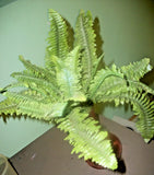 Artificial Silk Fern Plant   New Green Plant