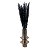 Bergamo Art Bundle of 4 Preserved Flowers Small Pampass Grass 20" long in Black Pampas Grass