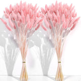 120 PCS Pink Dried Pampas Grass Decor, 17-inch Pompas Floral, Dry Flowers for... Pampas Grass