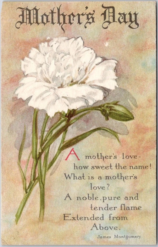 Vintage Mother's Day Postcard White Carnation Poem 1910s Church Invitation Carnation