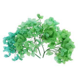 10g Mini Dried Hydrangea Flower Natural Pressed Flower Gradient Green Dried Flower