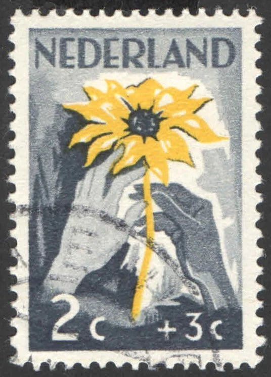 Netherlands 1949,  Sunflower, NIWIN, 2 cent, used, VF Sunflower