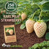 250 Milk Strawberry Seeds Heirloom White Strawberry Sweet Garden Plant Garden Plants