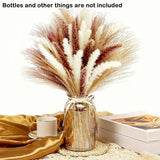 60 PCS Pampas Grass Natural Dried Reed Flower Bunch Home Wedding Decor Bouquets Flowering Plants