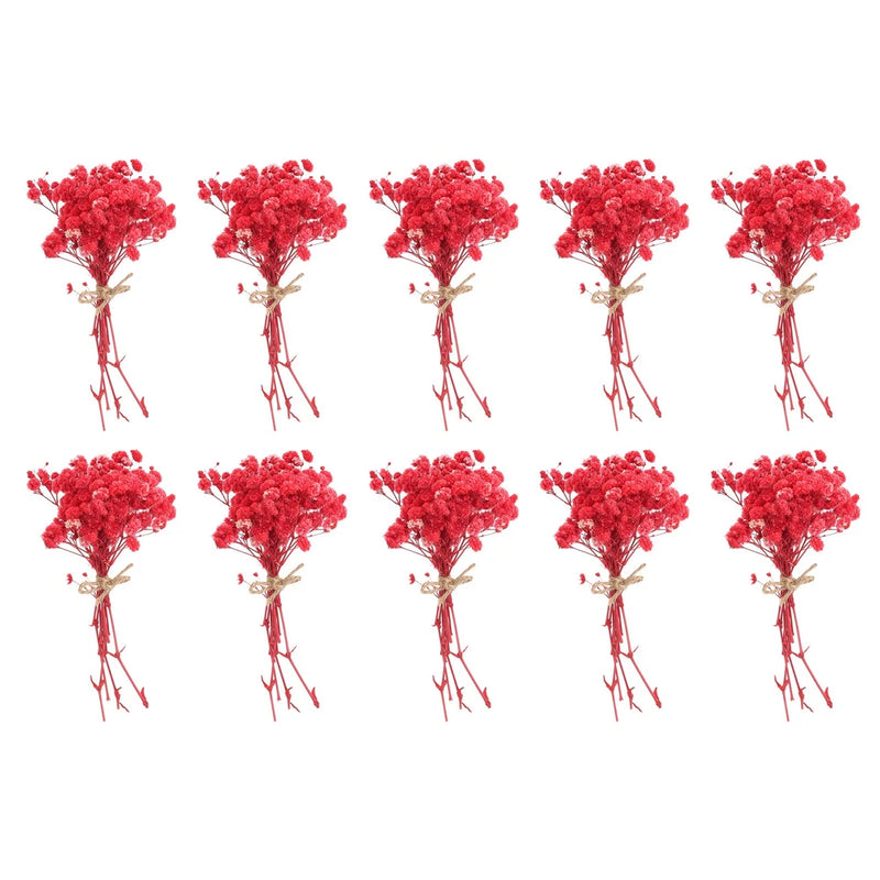 Set of 10 mini red dried baby’s breath bouquets with twine ties for DIY crafts
