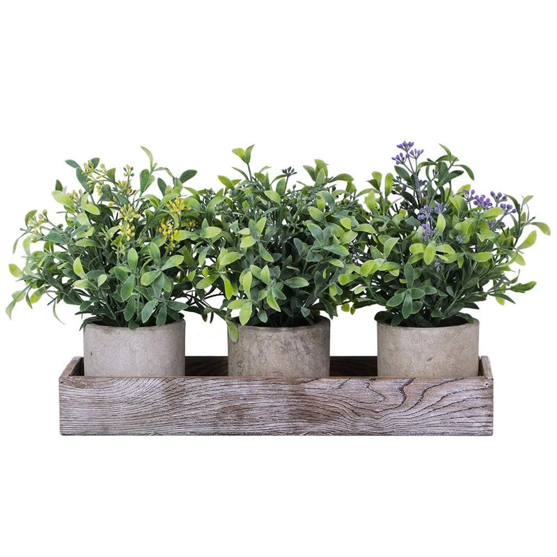 Set of 3 Mini Artificial Potted Plants Faux Seeded Boxwood Greenery Arrangeme... Green Plant