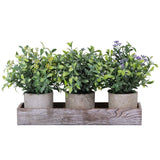 Set of 3 Mini Artificial Potted Plants Faux Seeded Boxwood Greenery Arrangeme... Green Plant