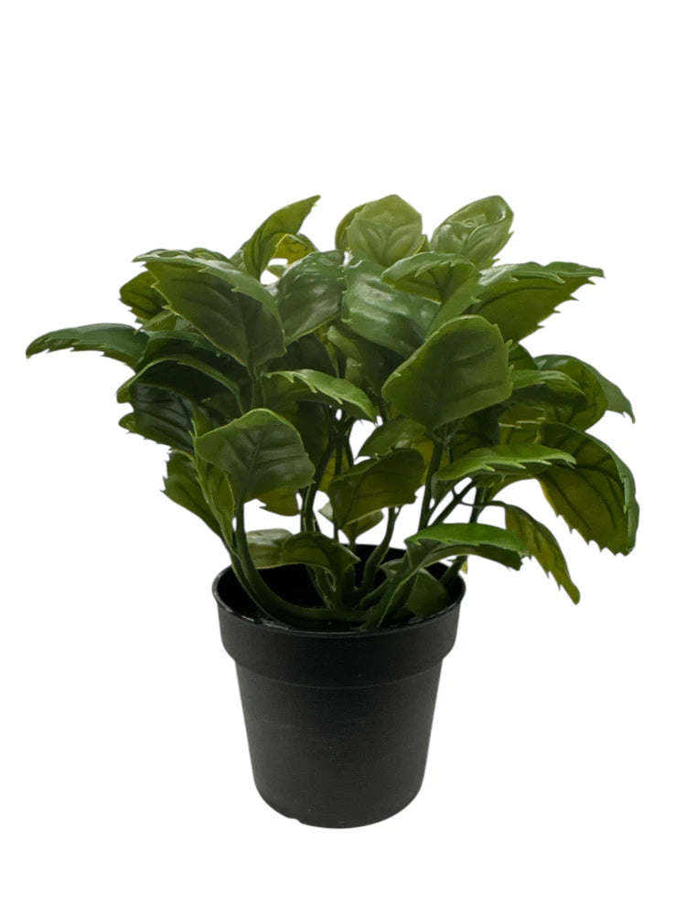 New IKEA FEJKA Artificial Potted Plant Basil 9 cm (3 _ ") 406.107.49 Green Plant