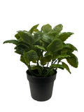 New IKEA FEJKA Artificial Potted Plant Basil 9 cm (3 _ ") 406.107.49 Green Plant