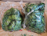 Fake Vines Two 12 Packs Totaling 164 Feet Aesthetic Artificial Plant Ivy Leaves Green Plant