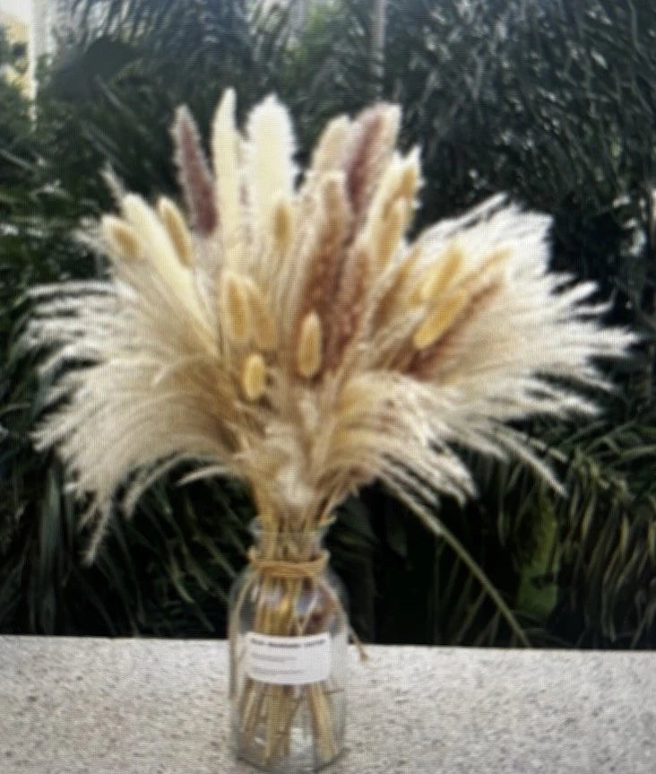 NEW Pampas Grass 80 pcs 17.5" Natural Dried Pampas Grass 15 pcs Light Tan Pampas Pampas Grass