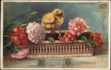 Easter Embossed Chick Basket Flowers Carnations c1900-20S Vintage Postcard Carnation