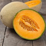50 IROQUOIS MELON SEEDS NON-GMO  FRESH HARVEST FOR GARDENS Garden Plants