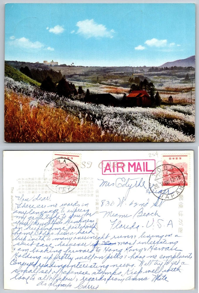 Sengokubara Hakone Japan Pampas Grass Field Vintage 1966 Postcard Pampas Grass